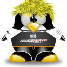 penguin pingouin pinguino 508